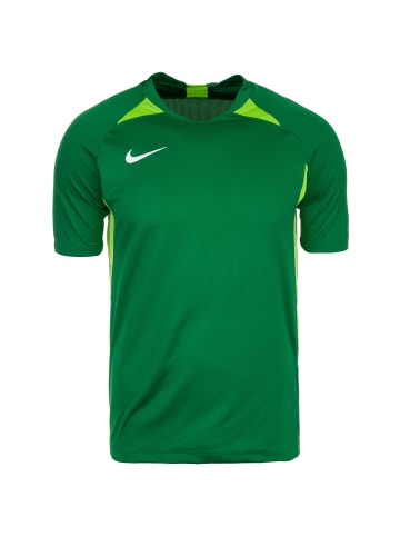 Nike Performance Fußballtrikot Dri-FIT Striker V in grün / hellgrün