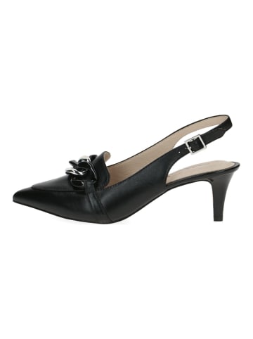 Caprice Pumps in Schwarz