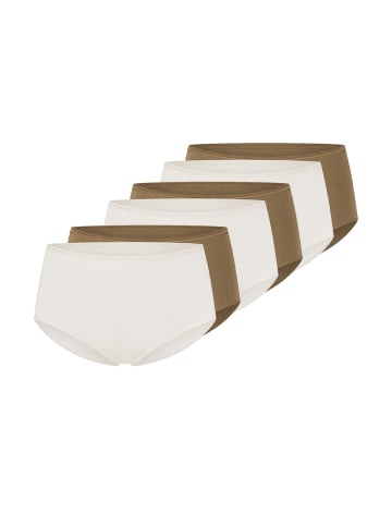 Schiesser Midi Slip Modal Essentials in Khaki / Creme