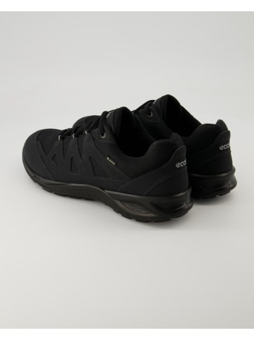 Ecco Sneaker low in Schwarz