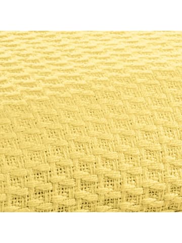 Erwin Müller Baumwolle Sommer-Decke 2er-Pack Siena in gelb