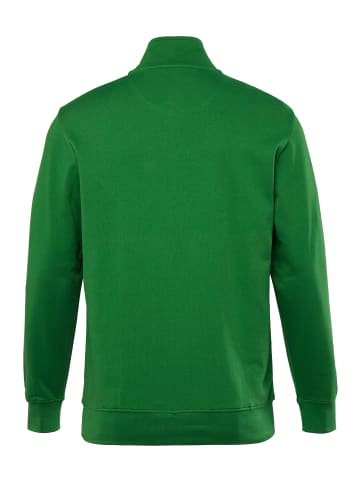 Men Plus Sweatshirt in hellgrün