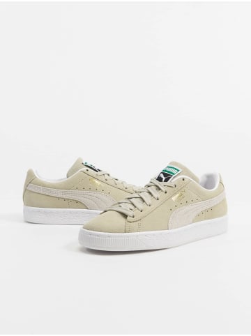 Puma Puma Damen Lacoste Graduate Pro Schuhe in spring moss/white