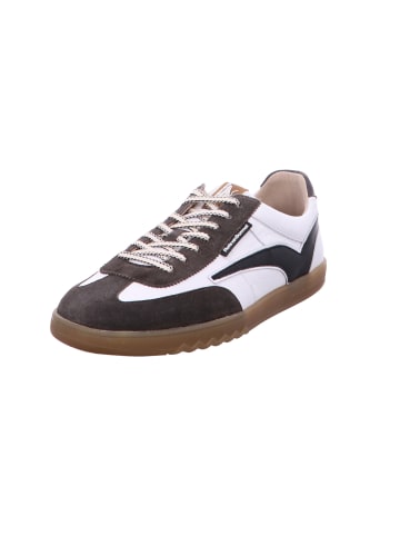 Floris van Bommel Schnürschuh in weiß