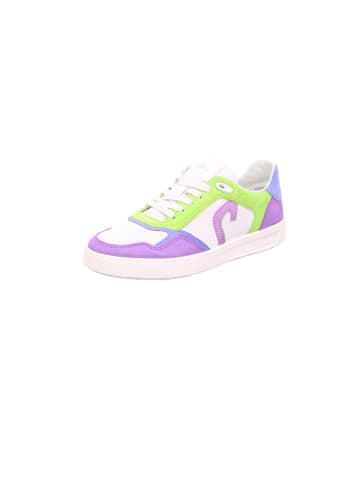 Sioux Sneaker für Herren in kombi