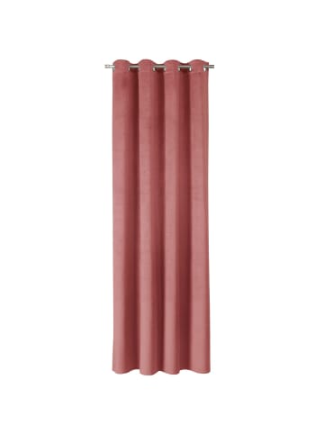 Tom Tailor TT Ösenvorhang VelvetSignature 140 x 250 cm in Rose