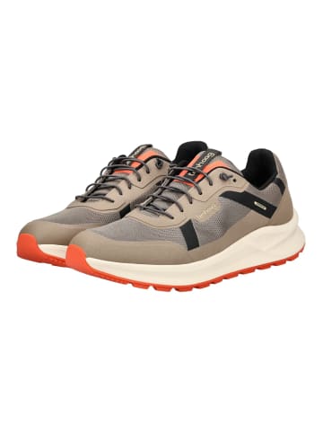 Tenhaag Sneaker Erde