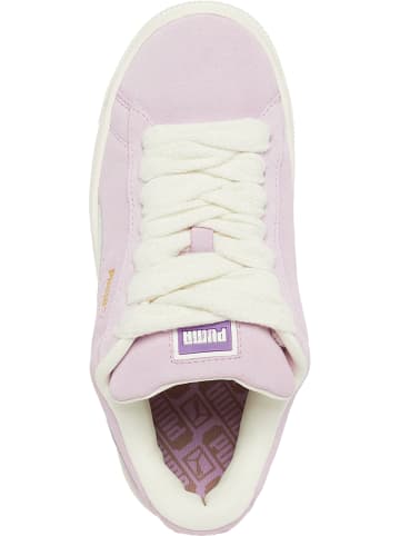 Puma Puma in grape mist/warm white