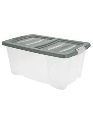 Storage Solutions Kunststoffbox in grün