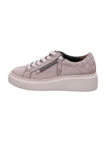 Paul Green Plateau Schnürschuhe in Beige