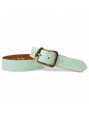 FRONHOFER Ledergürtel Messing in Pistazie