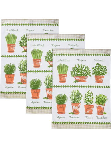 Erwin Müller Baumwolle Geschirrtuch 3er-Pack in Kräuter