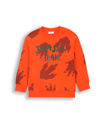 Coccodrillo T-Shirt mit langen Ärmeln in rot