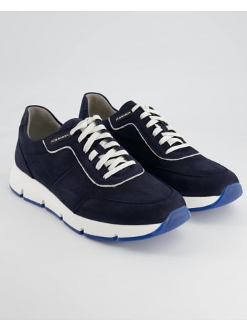 Pius Gabor Sneaker low in Blau