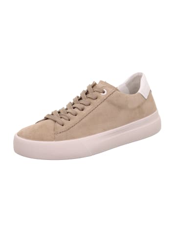 Legero Sneakers Low MONDO in Giotto
