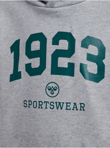 Hummel Kapuzenpullover Hmlnipps Lebensstil Jungen in LIGHT GREY MELANGE