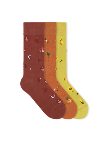 von Jungfeld Gemusterte Socken Icons Socken-Set in Field