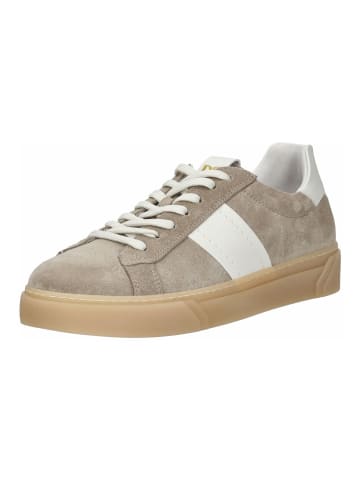 Nero Giardini Sneaker Braun/Weiß