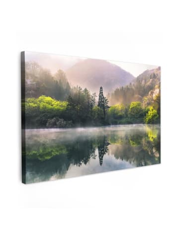 MuchoWow Fotoleinwand Grün