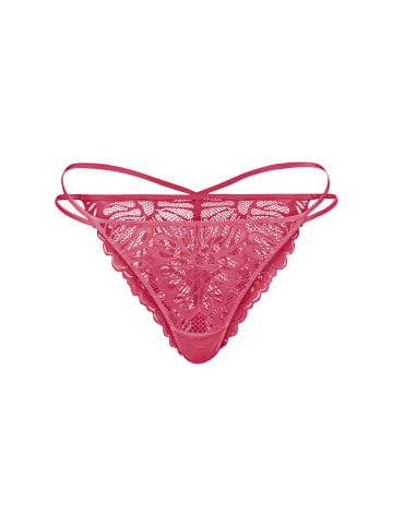 LSCN BY LASCANA String in raspberry