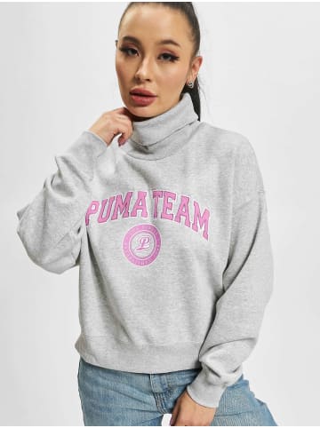 Puma Puma Hoodie in grey