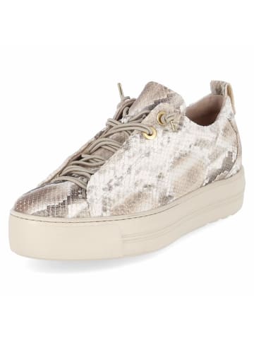 Paul Green Schnürhalbschuh in beige
