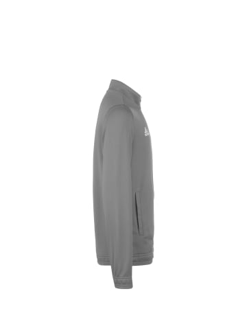 adidas Performance Trainingsjacke Entrada 22 in grau / weiß