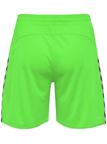 Hummel Hummel Poly Kurze Hose Hmlauthentic Multisport Herren Leichte Design Feuchtigkeitsabsorbierenden in GREEN GECKO