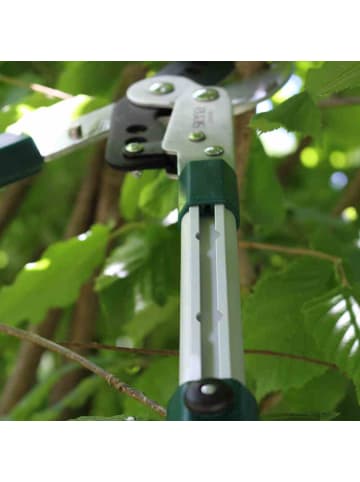 Siena Garden Amboss Alu Pro Astschere 68-102 cm 5-fach teleskopierbar in Grün/Silber/Schwarz