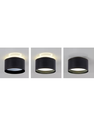 näve LED Spot "Trios" Ø 14 cm in Schwarz