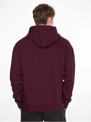 Calvin Klein Sweatshirt in passion plum