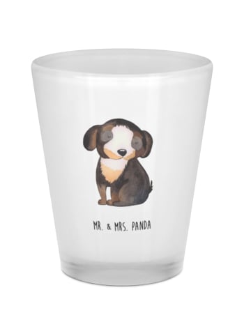 Mr. & Mrs. Panda Schnapsglas Hund Entspannen ohne Spruch in Transparent