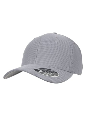  Flexfit 110 Fitted in grey