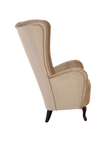 58 aufm Kessel HOCHLEHNSESSEL Kailey Bezug Samtvelours Buche nussbaum dunkel / sand