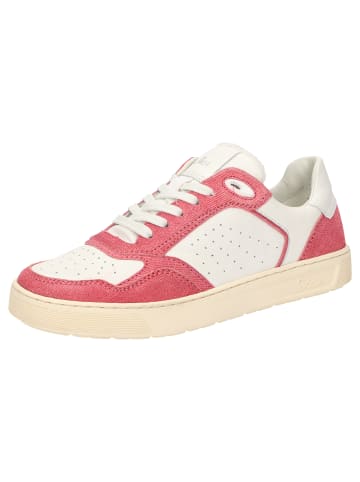 Sioux Sneaker Tedroso-DA-703 in rot