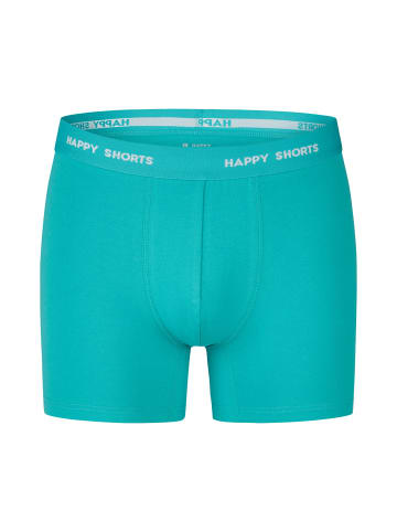 Happy Shorts Trunk Neon in neon green/blue