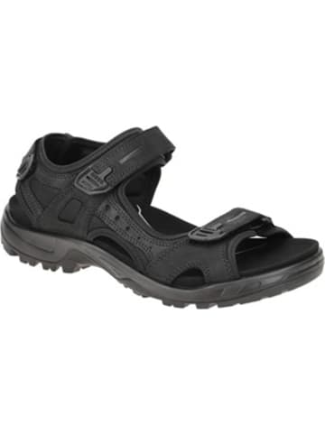 SHOES "Offroad" in black