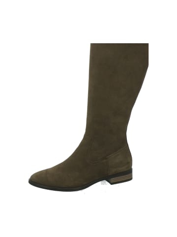 Paul Green Klassische Stiefel in Braun