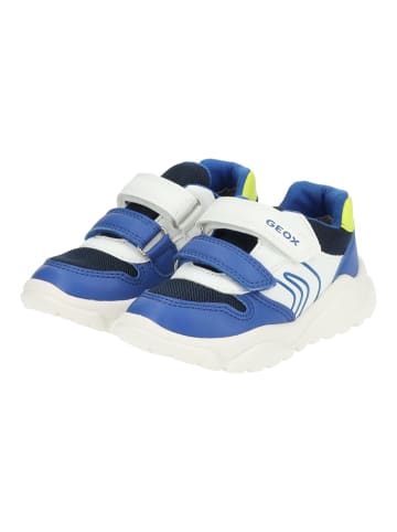 Geox Sneaker in Weiß/Blau