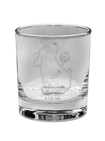 Mr. & Mrs. Panda Tumbler-Glas Hund Keks ohne Spruch in Transparent