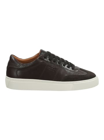 GANT Footwear Sneaker in Dunkelbraun