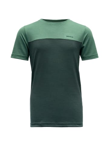 DEVOLD NORANGMERINO TEE in Laubgrün
