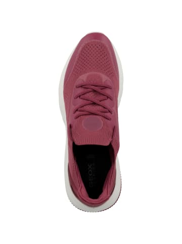 Geox Sneaker low D Spherica Actif A in bordeaux