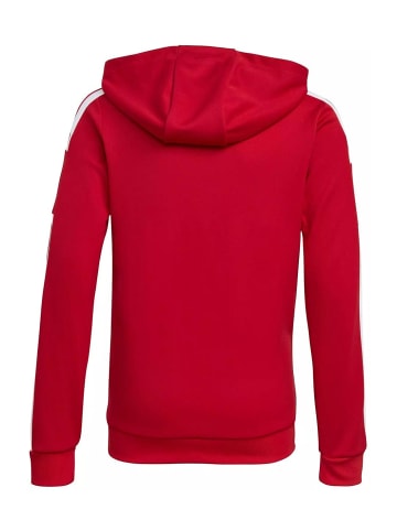 adidas Sweatshirt in bunt