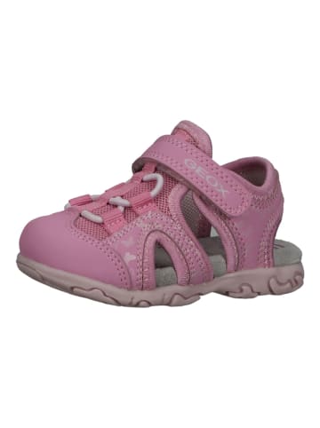 Geox Sandalen in Pink