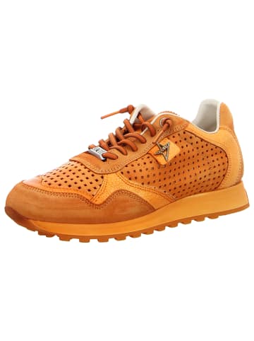 Cetti Sneaker in orange