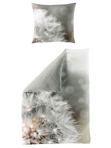 Traumschloss Mako-Satin Digitaldruck Bettwäsche - 5084_04 - reifer Löwenzahn, Pusteblume in silberfarben