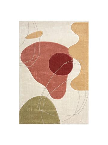 payé Teppich Kurzflor Bonita 58