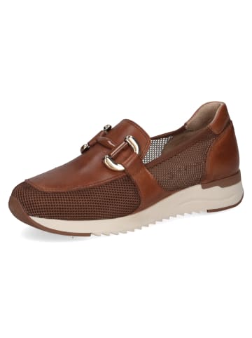 Caprice Slipper Slipper in braun