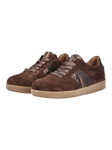 Gabor Sneaker Cacao